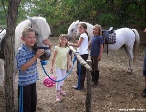 Dunavarsányi lovas tábor