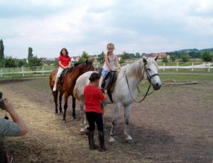 Gyula vezér lovas tábor