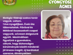 Kapolcsi Kézműves Kalandtábor