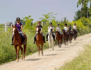 Lovastábor az Etei Lovasudvarban