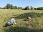 ÖKOmmandó – Bevetésen Zuglóban! – Napközis ökotábor