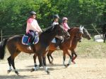 Szilajló tavaszi lovas edzőtábor