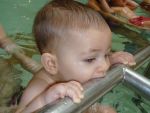 Úszik a baba napközis úszótábor
